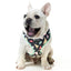 fuzzyard_arnes_perro_rad2_9345719018566.jpg