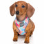 fuzzyard_arnes_perro_the_hive2_9345719021870.jpg