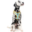 fuzzyard_arnes_perro_tucson2_9345719018504.jpg