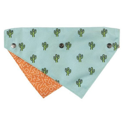 fuzzyard_bandana_perro_tucson_9345719019365.jpg