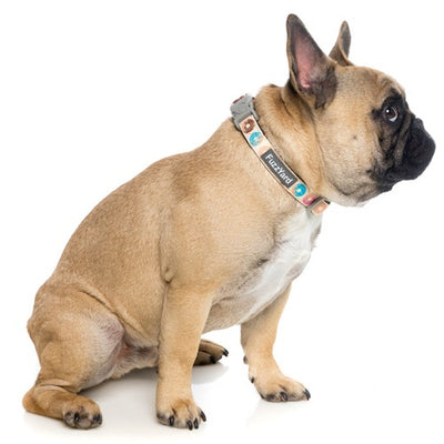 fuzzyard_collar_perro_go_donuts2_9345719017972.jpg