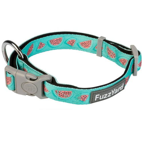 fuzzyard_collar_perro_summer_punch_9345719033088.jpg