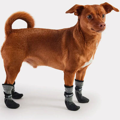 gfpet_botin_negro2_perro_823248893117.jpg