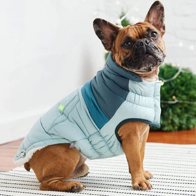 GFPet_Chaqueta_Azul2_Perro_824348897227.jpg