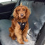 gfpet_cubierta_asiento2_perro_824348398212.jpg