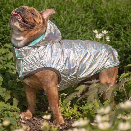 gfpet_impermeable2_aqua_perro_824348863772.jpg