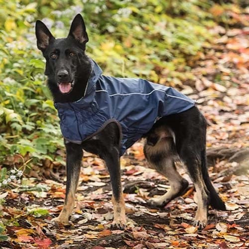 GFPet_Impermeable_Reversible_Azul2_Perro_824348707120.jpg