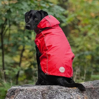 GFPet_Impermeable_Reversible_Rojo2_Perro_824348707205.jpg