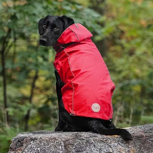 gfpet_impermeable_reversible_rojo2_perro_824348707502.jpg