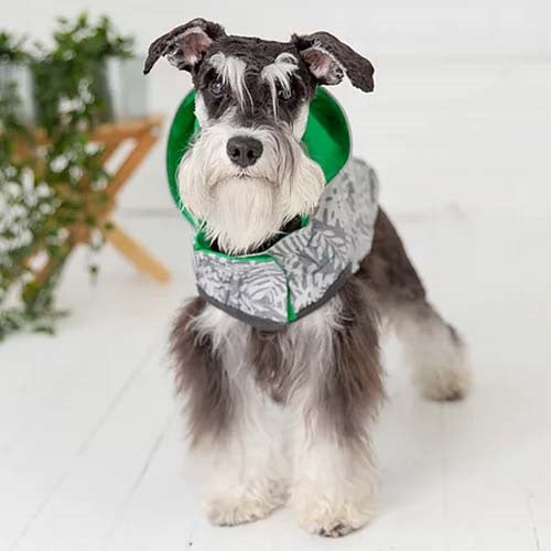 gfpet_impermeable_reversible_verde2_perro_824348707540.jpg