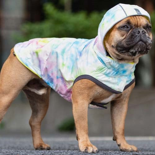 gfpet_impermeable_yellow2_perro_824348863635.jpg