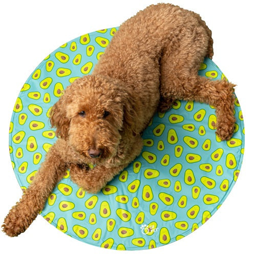 gfpet_manta_refrescante_palta1_perro_824348686548.jpg