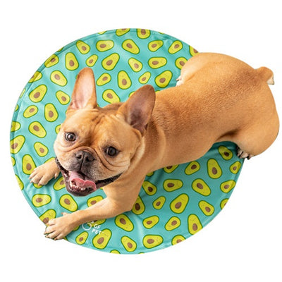 gfpet_manta_refrescante_palta_perro_824348686241.jpg