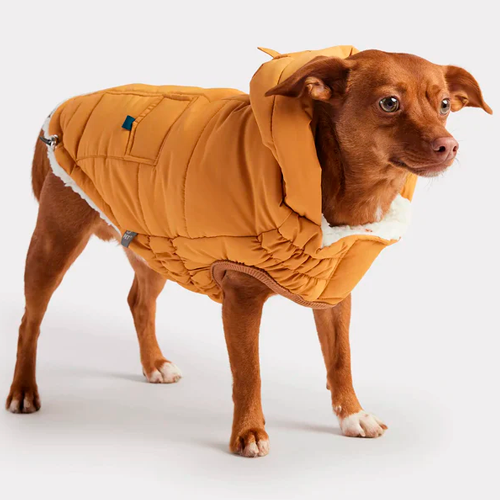 GFPet_Parka_Amarillo2_Perro_824348898620.png