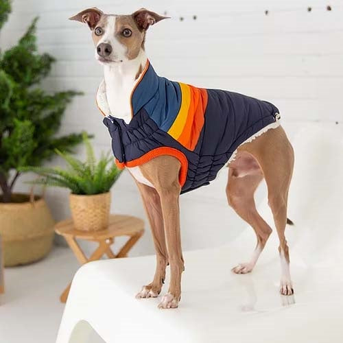 gfpet_parka_azul2_perro_824348731262.jpg