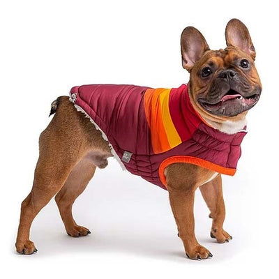 gfpet_parka_roja2_perro_824348731026.jpg