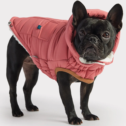 GFPet_Parka_Rosada2_Perro_824348898385.png