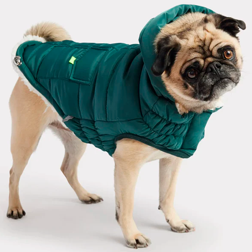 GFPet_Parka_Verde2_Perro_824348898224.png