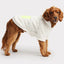 gfpet_poleron_blanco2_perro_824348903843.jpg