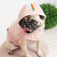gfpet_poleron_rosa2_perro_824348728354.jpg