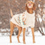 gfpet_sueter_arena2_perro_824348896886.jpg