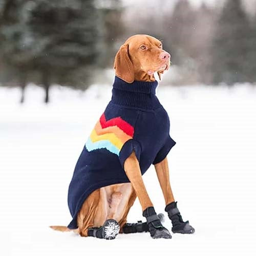 gfpet_sweater_azul2_perro_824348733235.jpg