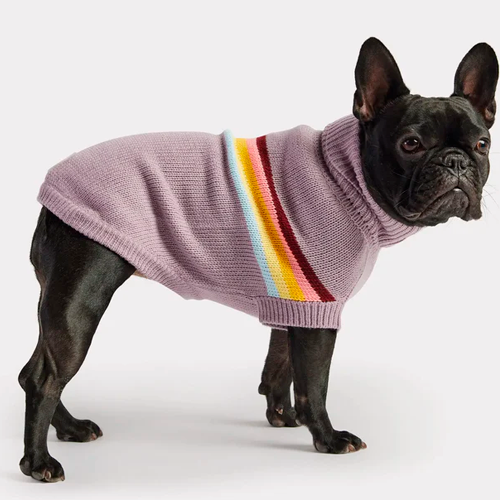 GFPet_Sweater_Lavanda2_Perro_824348895728.png