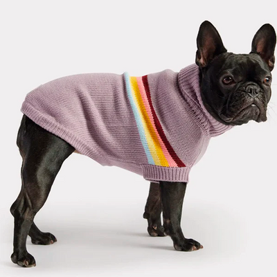 GFPet_Sweater_Lavanda2_Perro_824348895780.png