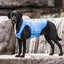 gf_pet_chaleco2_perro_824348685428.jpg