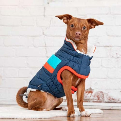 gf_pet_chaleco2_perro_824348858280.jpg