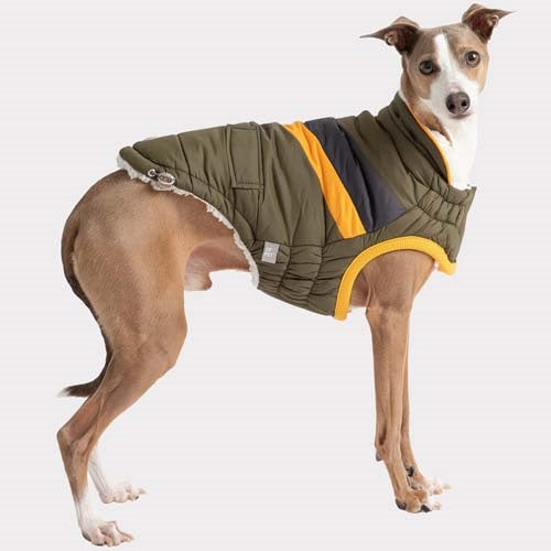 gf_pet_chaleco2_perro_824348858471.jpg