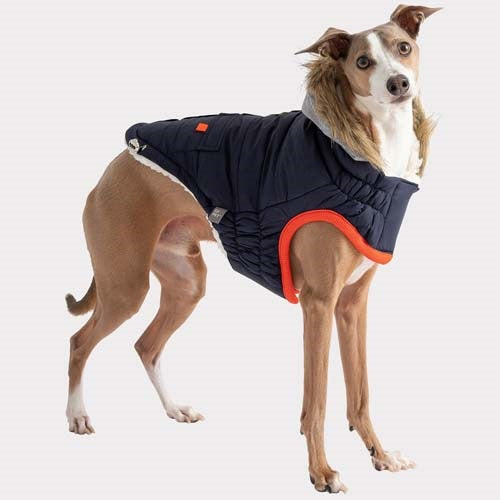 gf_pet_parka2_perro_824348859225.jpg