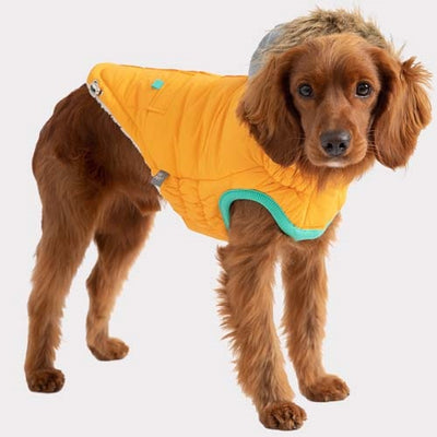 gf_pet_parka2_perro_824348859669.jpg