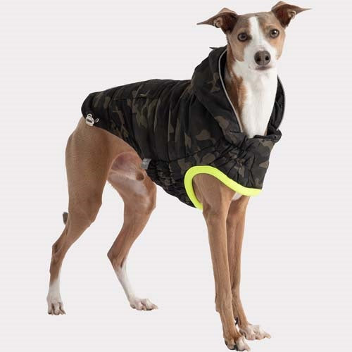 GF_Pet_Parka2_Perro_824348860924.jpg