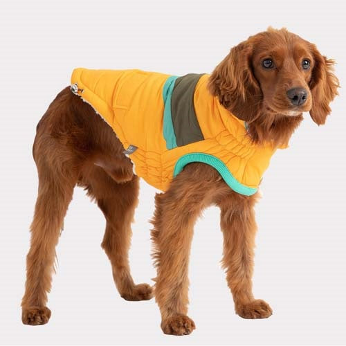 gf_pet_parka_amarilla2_perro_824348858655.jpg