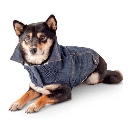 GFpet_Parka_Jeans_Chiporro2_824349699226.png