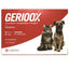 gerioox_geriátrico_labyes_perros_gatos_7798176422926.jpg