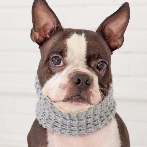 gf_pet_bufanda_gris2_perro_824348729153.jpg