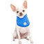 gf_pet_ice_bandana2_perro_824348309225.jpg