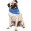 gf_pet_ice_bandana2_perro_824348309324.jpg