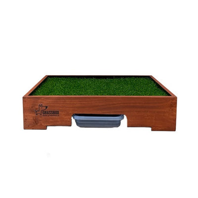 grassbox_baño_pasto_sintetico1_perro_0763331492080.jpg