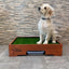 grassbox_baño_pasto_sintetico2_perro_0763331492080.jpg