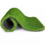 grassbox_respuesto_pasto_sintetico_perro_07633314921033.jpg