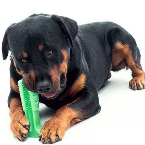 juguete_limpiador2_dientes_perro_8068030157783.jpg
