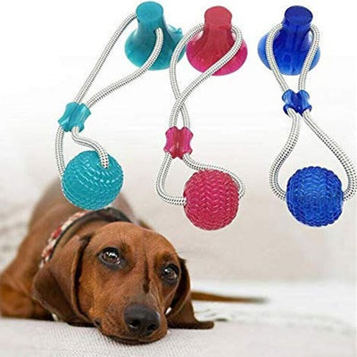 juguete_ventosa2_perro_7852052743670.jpg