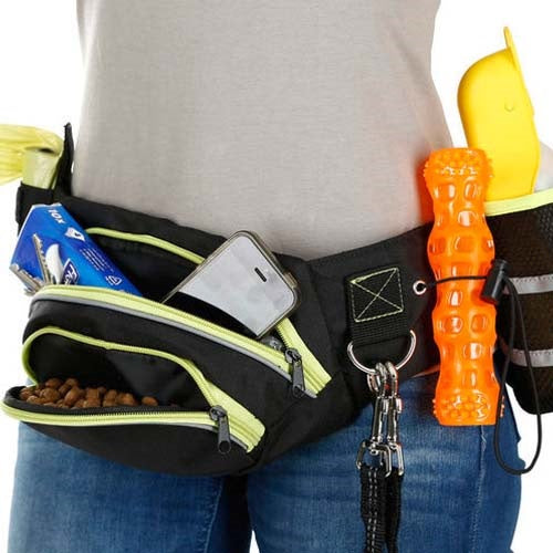 kerbl_bolso_entrenamiento2_perro_4018653943687.jpg