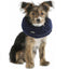 kerbl_collar_isabelino2_4018653992487.jpg