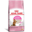 kitten_sterilised_standar_royal_canin_felino_7896181215769.jpg