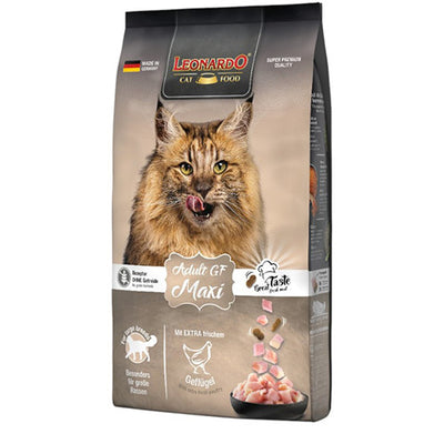 leonardo_adult_gf_gato_4002633758521.jpg