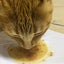 drink_pato_40_gr_2